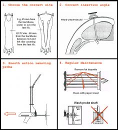 Insertion Points